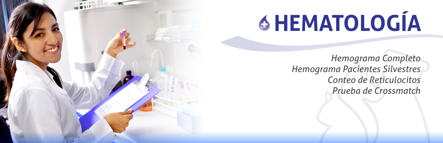 Vet Support Hematologia