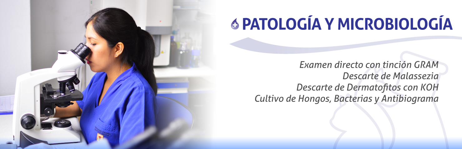 Vet Support patologia microbiologia