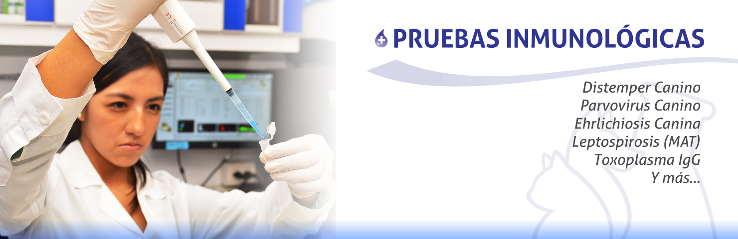 Vet Support pruebas inmunologicas